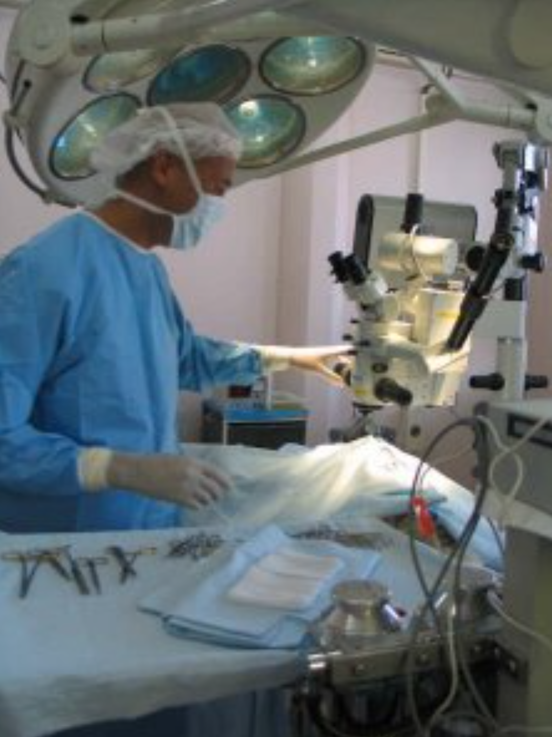 Geneva Animal Hospital, Animal Hospital Geneva, Cabinet Vétérinaire International, Geneva Veterinarian, veterinarian Geneva