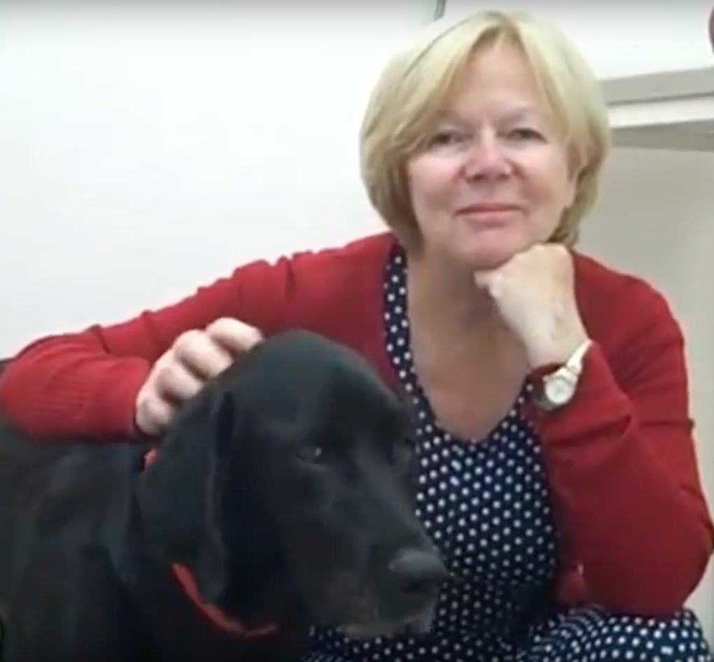  Geneva Animal Hospital, Animal Hospital Geneva,Cabinet Vétérinaire International,Geneva Veterinarian, veterinarian Geneva, cabinet vétérinaire international