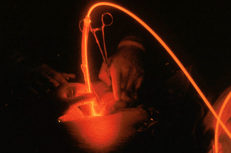 Geneva Animal Hospital, Animal Hospital Geneva, Cabinet Vétérinaire International, Geneva Veterinarian, veterinarian Geneva