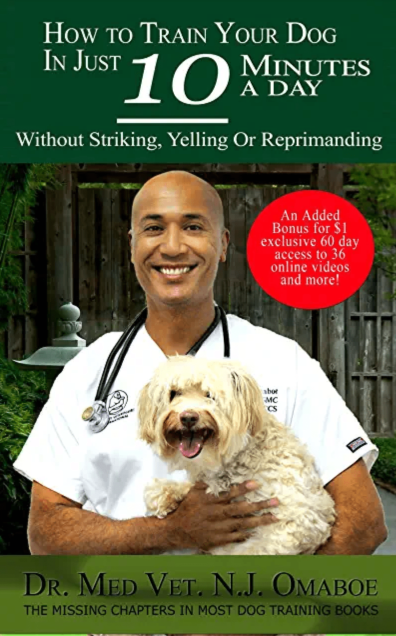  Geneva Animal Hospital, Animal Hospital Geneva, Cabinet Vétérinaire International, Geneva Veterinarian, veterinarian Geneva, book 4